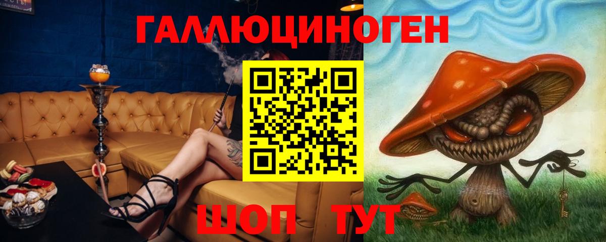 Псилоцибиновые грибы Psilocybine cubensis Гагарин